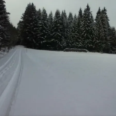 Pedro شقة Weißenstadt